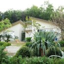 정원이 아름다운 집 이미지