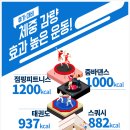 공주 이루다 점핑다이어트
