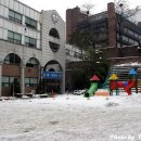 덕수초등학교 이미지