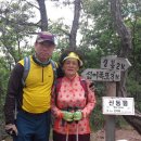 금산-53 이미지