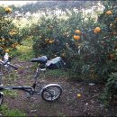 김종성 농장 이미지