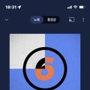 맹그로브 신설 이미지