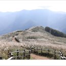 민둥산햇살좋은펜션 | 민둥산 억새 산행(2025.10.01)