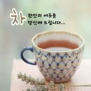 휴마니로아 Daum카페