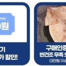 자반 고래밥 이미지