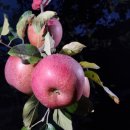 휴; 청송 이미지