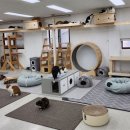 울산 이승진동물병원 이미지