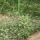 흥덕초등학교 이미지