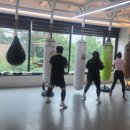 복싱그자체 이미지