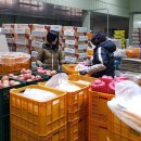 삼계농협농산물 유통센터 이미지