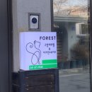 포레스트 캣호텔 이미지