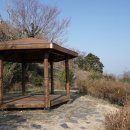 꽃섬투어 이미지