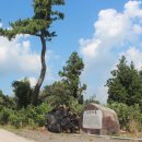 빌렛동산 이미지