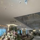 뮤즈결혼정보 | [웨딩홀 투어] 중구 PJ 호텔 뮤즈홀_ 27년 상반기 견적 공유