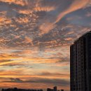 고맙습니다 - 유해준 이미지