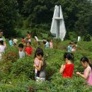 대소원면사무소 이미지