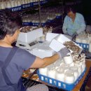 논미1리 이미지