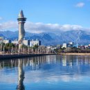 동해설악공인중개사사무소 이미지