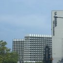 릭스당구장 | [호캉스] 호텔마리나베이 서울 재오픈 수영장, 조식 후기 (+황금코다리, 김포라베니체)