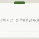 브리더클럽 이미지