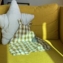 코지부호 이미지