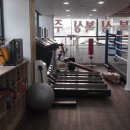 파워 복싱 체육관 이미지