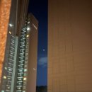 11545-03-26-09 | 26-03-09 개강2주차. 종강을 원한다