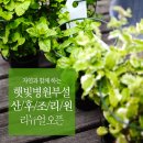 햇빛병원부설 햇빛산후조리원 이미지