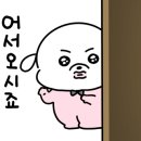 또올래분식 - 춘천시 안마산로 216 | 또올래분식
