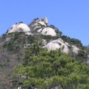 산 이미지