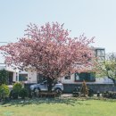 돌트멍으로드는보름