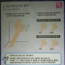 베스트안경 네이버블로그