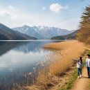 UR(강릉시)-[경포로]-하-20 | 강원도 3월 여행 추천 코스 7곳, 봄꽃·설경·드라이브 명소 완벽 가이드