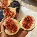 유토피아마트 이미지
