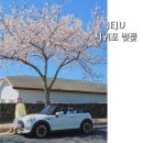 서호동-21 이미지