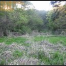 기룡리마을회관 이미지