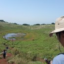 더마르한 이미지