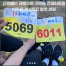 이엠파워근골격관리센터 대전점 | 유성 국화 마라톤 참여 후기와 하체 스트레칭 루틴 소개