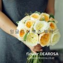 디어로사