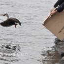 서울시야생동물센터 이미지