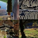 유림-1084 이미지