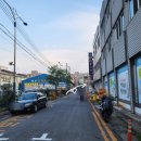 치즈와눈맞은돼지