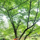 한강수변길 이미지