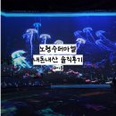아이수퍼마켙 | 제주 비오는 날 아기랑 실내 데이트 추천 • 아기띠 필수| 노형수퍼마켙 내돈내산 솔직후기