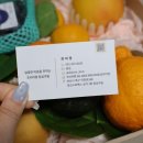 부산 과일바구니 고급스러운 과일선물 &#39;달심과일&#39; 후기