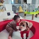 (주) 디자인스킨 | 디자인스킨 베이비플레이 도넛소파 후기 돌아기 유용한 육아템 추천 대근육 발달 놀이소파