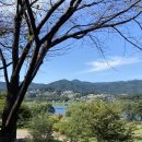 김영삼농장 이미지