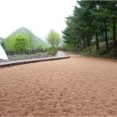 다리안 황토길 이미지