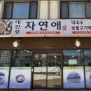 대관령자연애