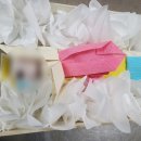 강아지나라 이미지